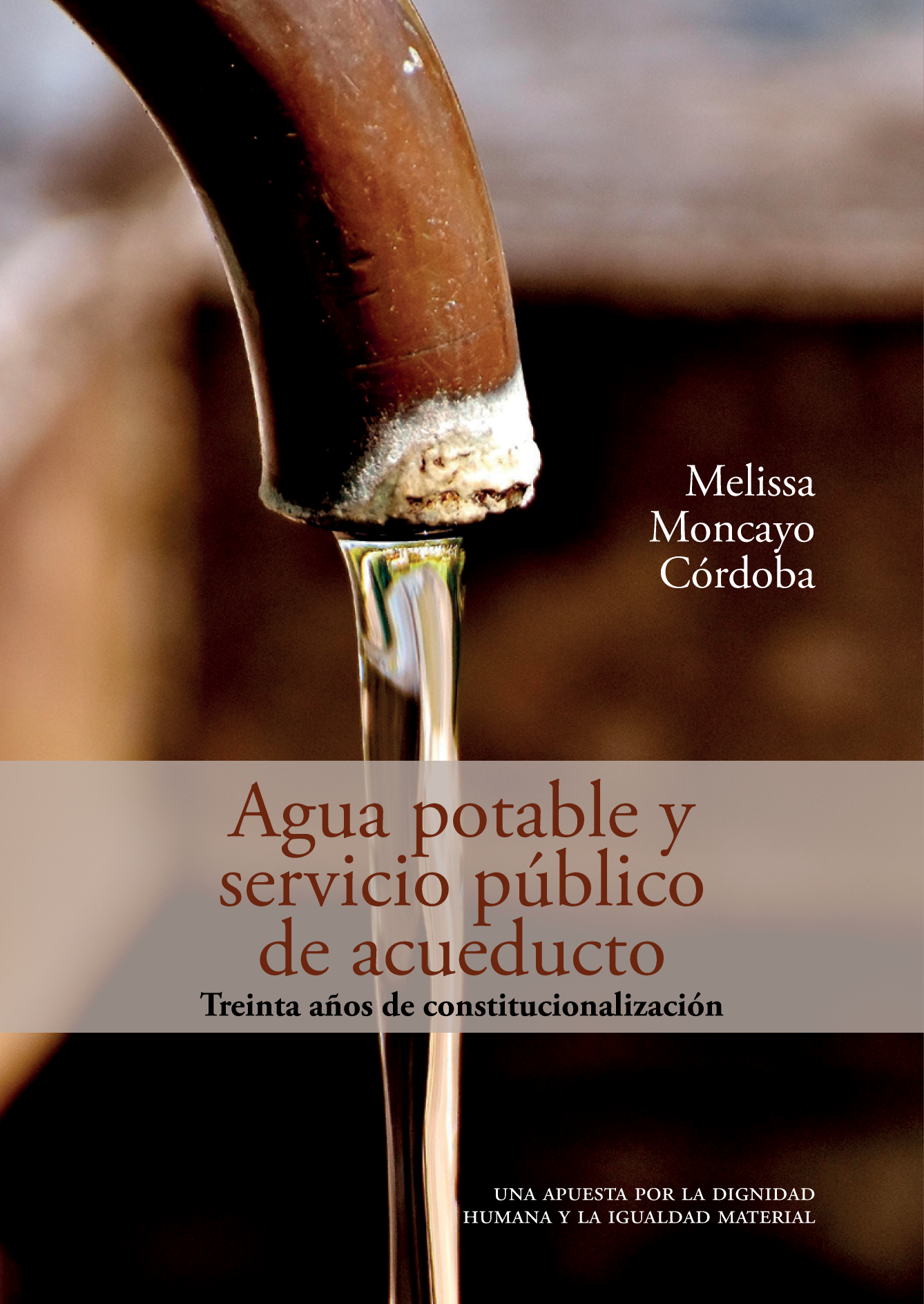 Agua potable y servicio público de acueducto: treinta años de constitucionalización. Una apuesta por la dignidad humana y la igualdad material