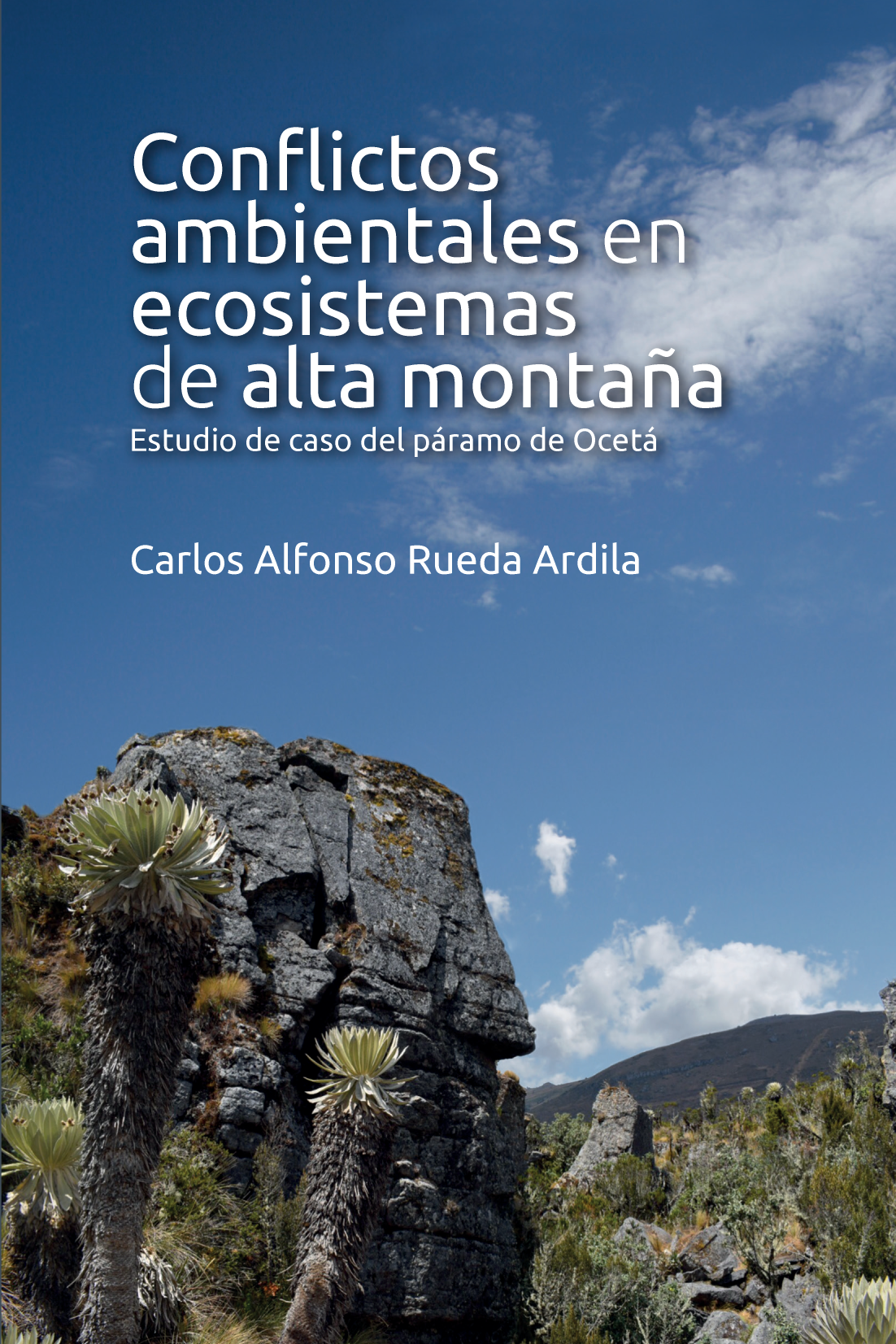 Conflictos ambientales en ecosistemas de alta montaña: estudio de caso del páramo de Ocetá