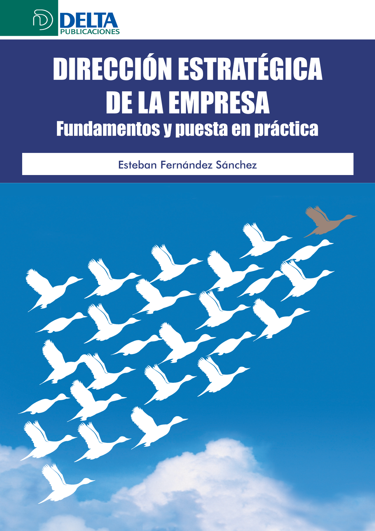Dirección estratégica de la empresa: fundamentos y puesta en práctica