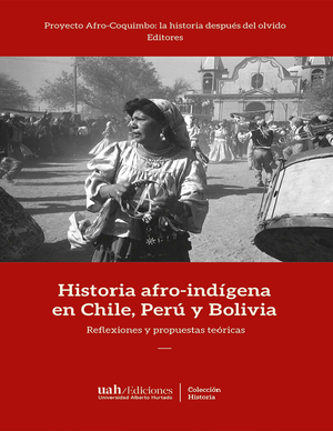 Historia afro-indígena en Chile, Perú y Bolivia: reflexiones y propuestas teóricas