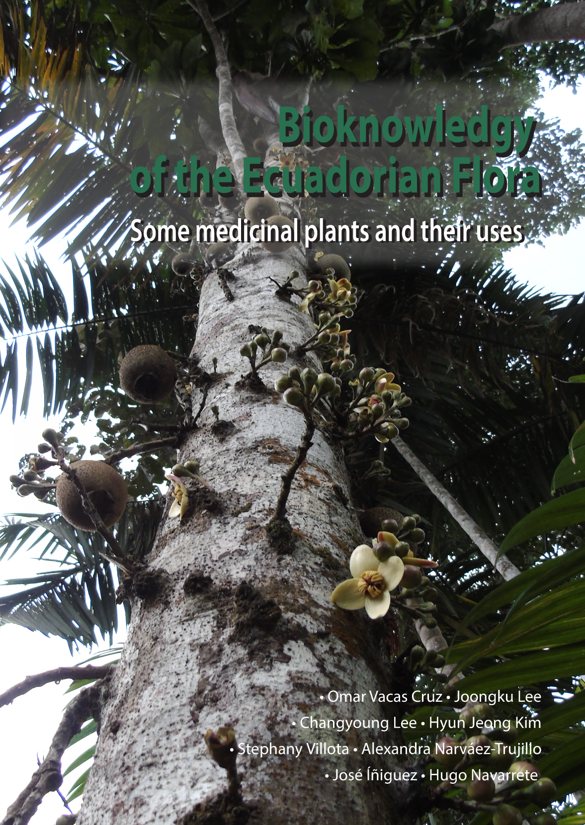 Bioknowledgy of the Ecuadorian Flora: Some Medicinal Plants and Their Uses