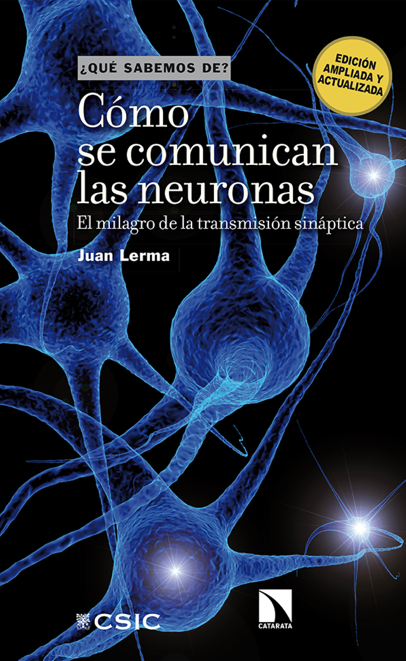 Cómo se comunican las neuronas: el milagro de la transmisión sináptica