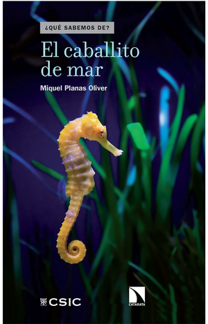 El caballito de mar
