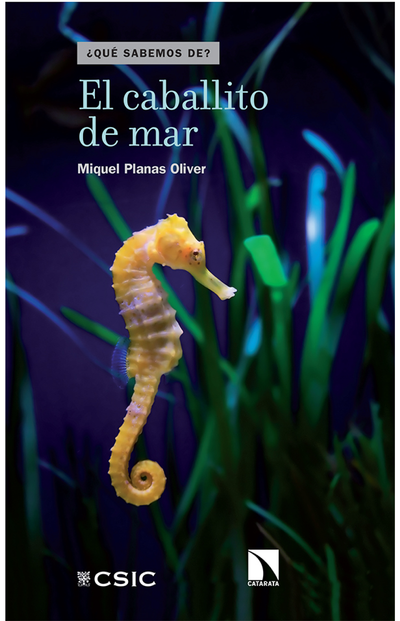 El caballito de mar