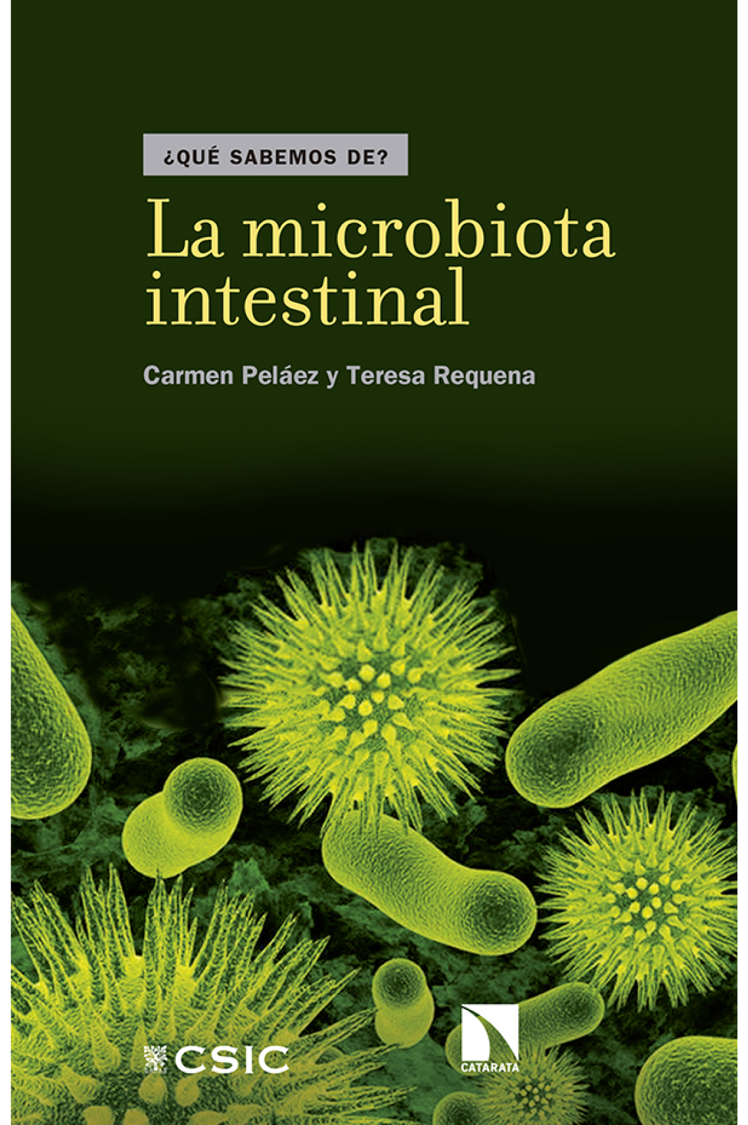La microbiota intestinal
