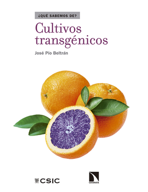 Cultivos transgénicos