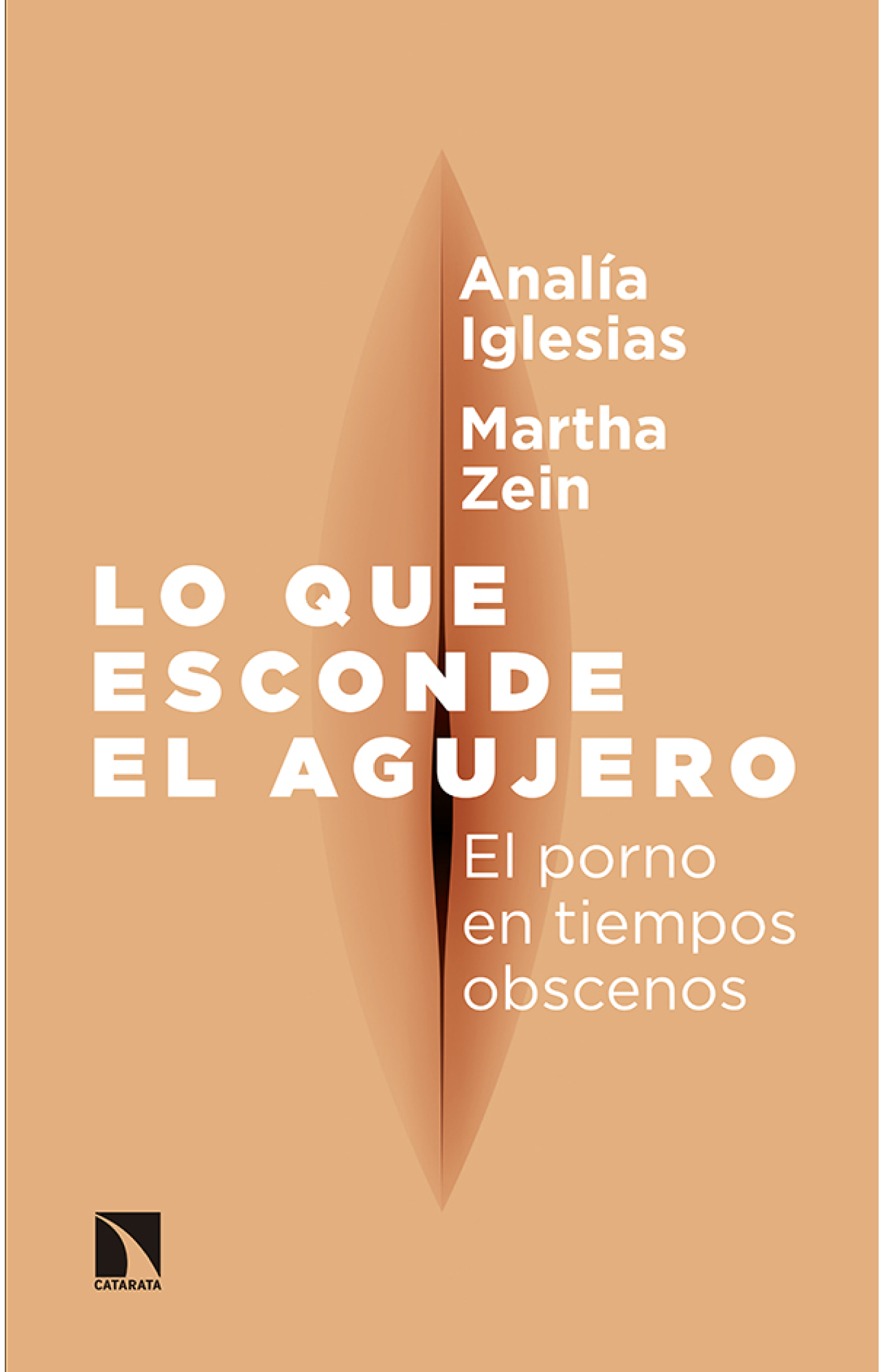 Lo que esconde el agujero: el porno en tiempos obscenos