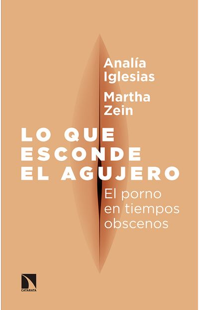 Lo que esconde el agujero: el porno en tiempos obscenos