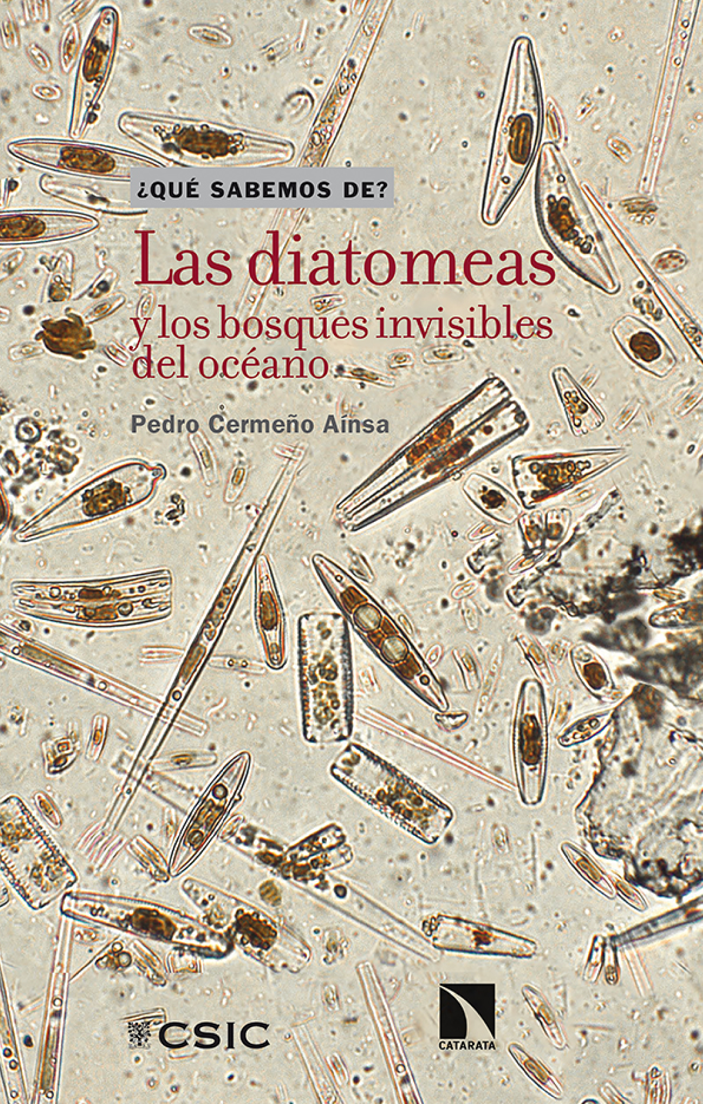 Las diatomeas y los bosques invisibles del océano
