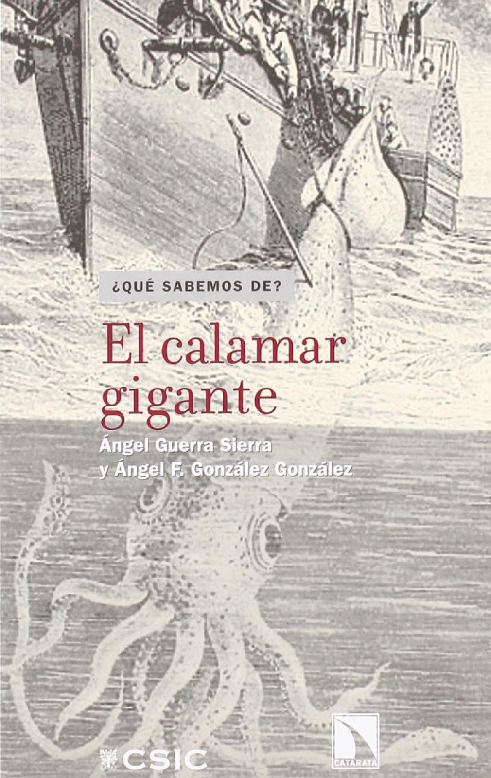 El calamar gigante