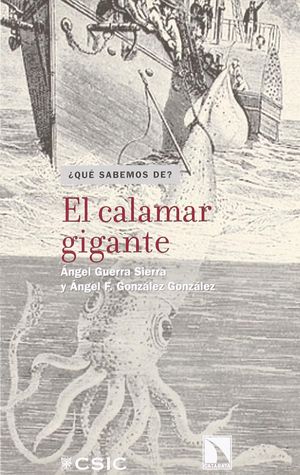 El calamar gigante