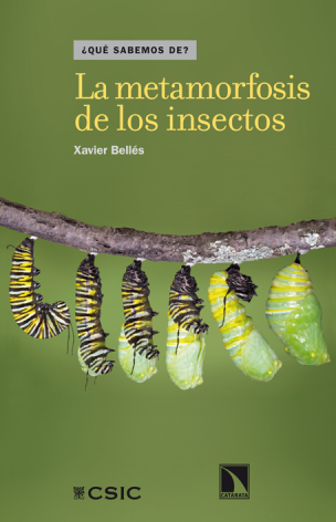 La metamorfosis de los insectos
