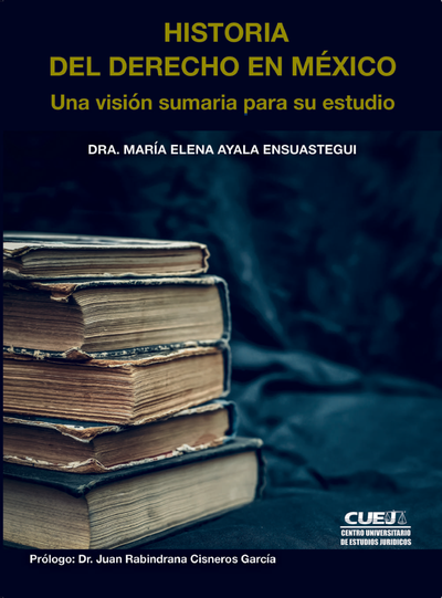 Historia del Derecho: en México: una visión sumaria para su estudio