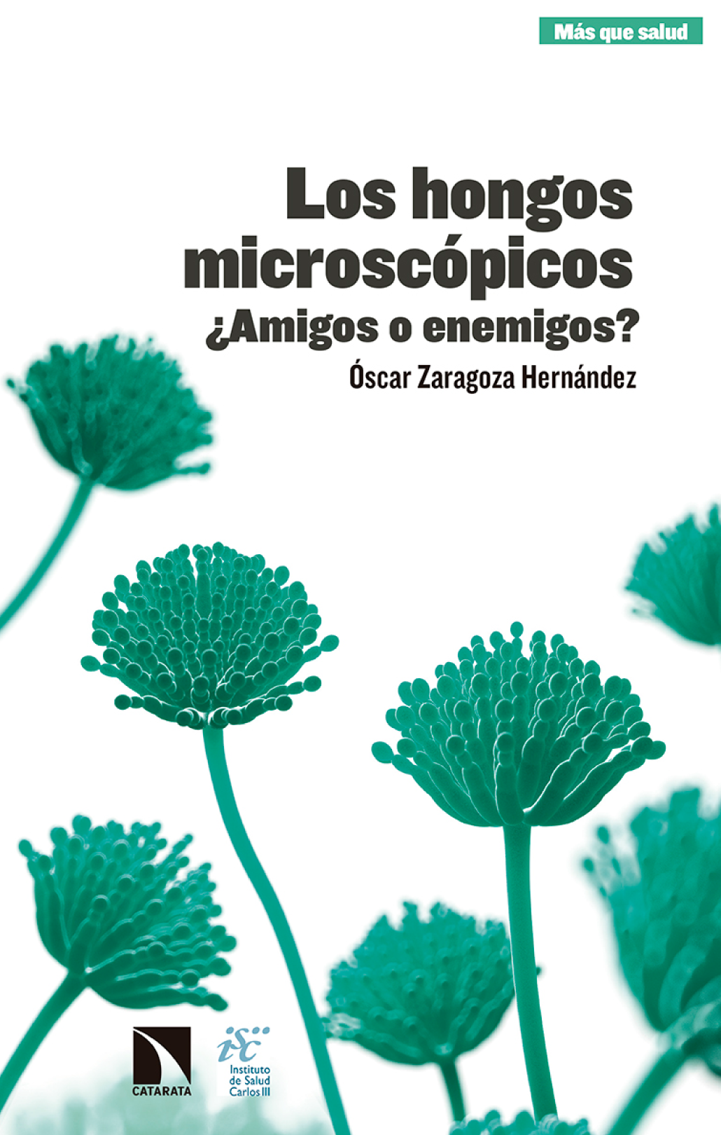 Los hongos microscópicos ¿Amigos o enemigos?