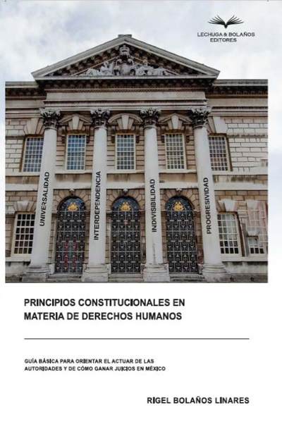 Principios constitucionales en materia de Derechos Humanos