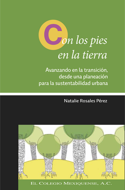 Con los pies en la tierra: avanzando en la transición, desde una planeación para la sustentabilidad urbana