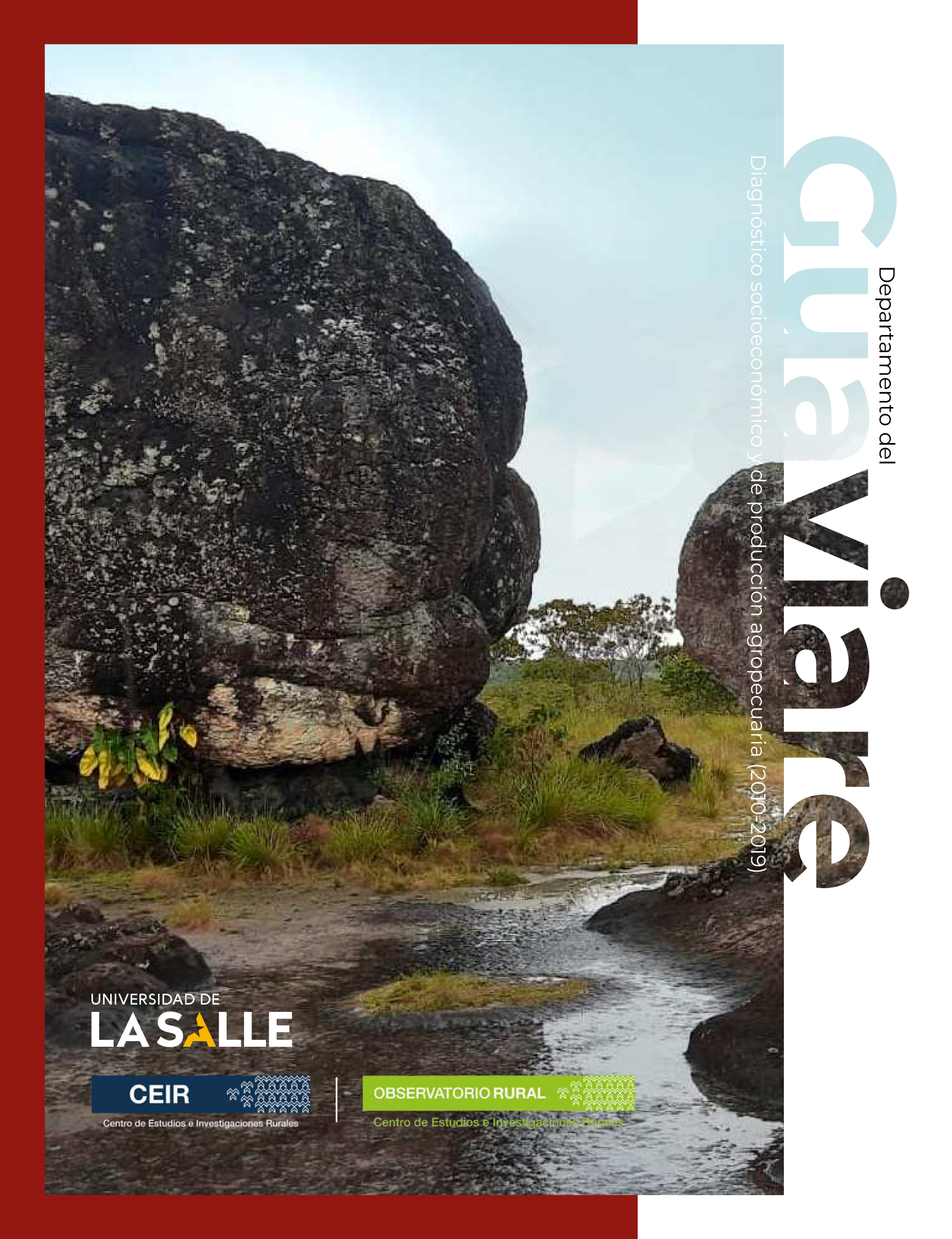 Departamento del Guaviare: diagnóstico socioeconómico y de producción agropecuaria (2010-2019)