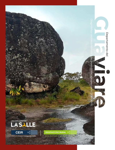 Departamento del Guaviare: diagnóstico socioeconómico y de producción agropecuaria (2010-2019)
