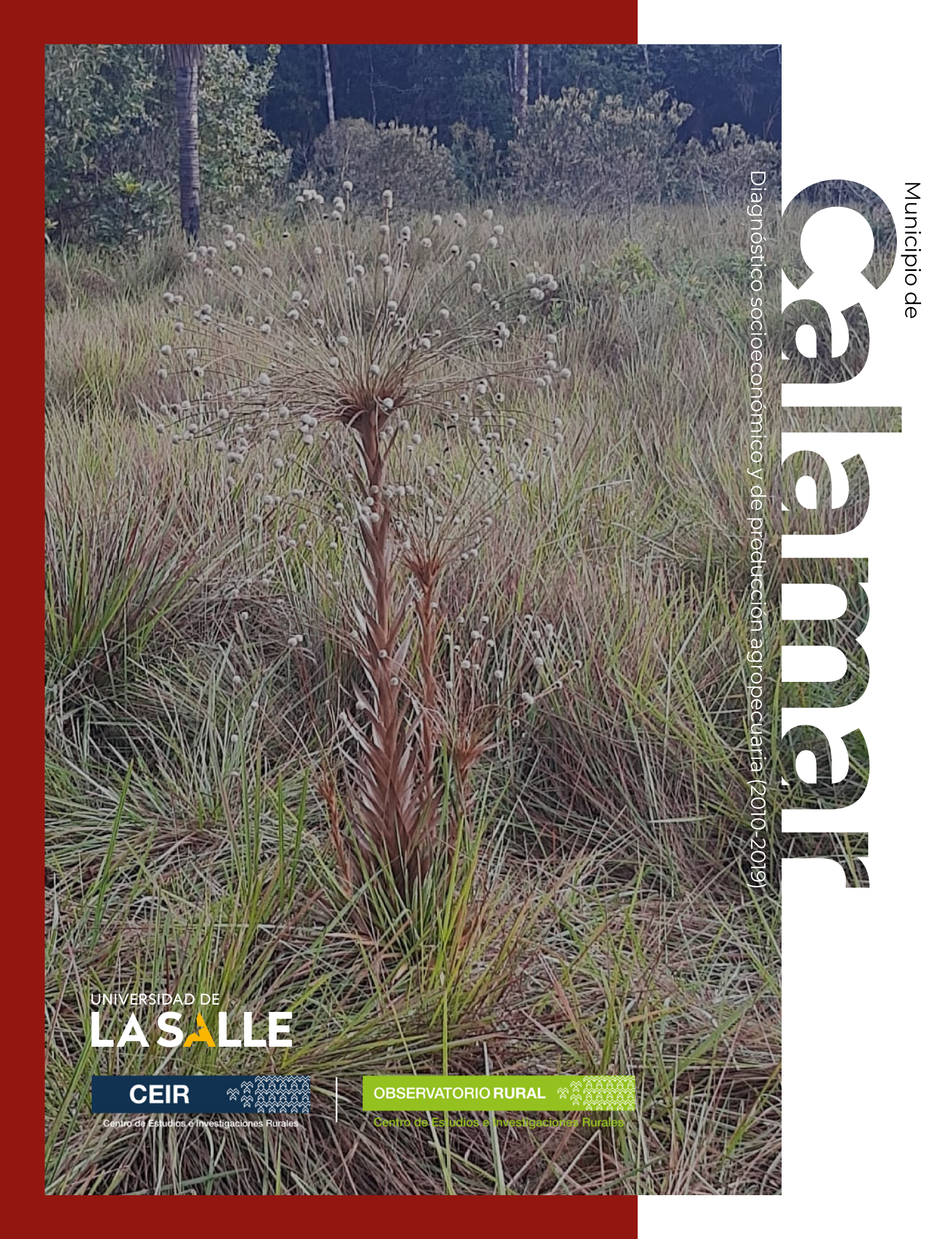 Municipio de Calamar (Guaviare): diagnóstico socioeconómico y de producción agropecuaria (2010-2019)