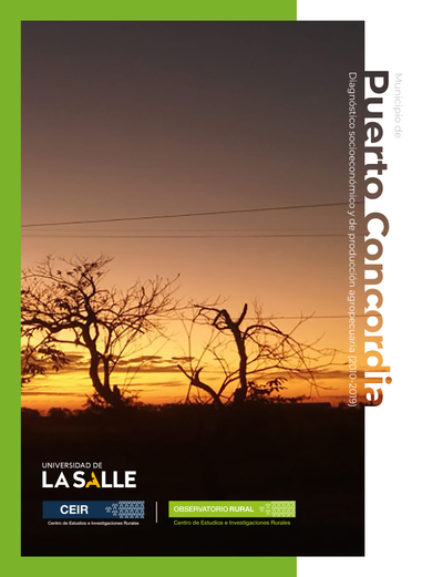 Municipio de Puerto Concordia (Meta): diagnóstico socioeconómico y de producción agropecuaria (2010-2019)