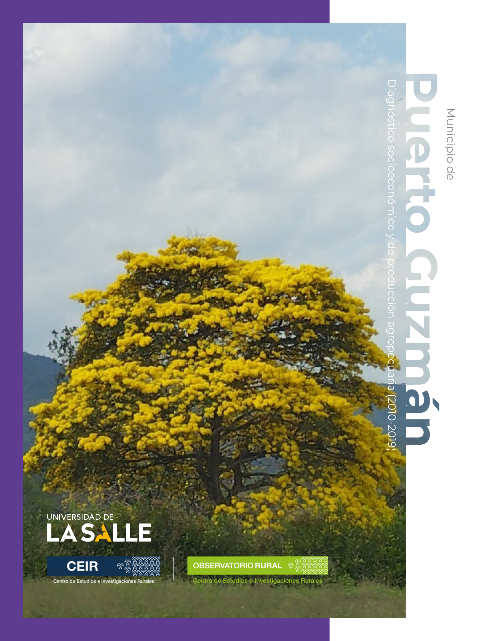 Municipio de Puerto Guzmán (Putumayo): diagnóstico socioeconómico y de producción agropecuaria (2010-2019)