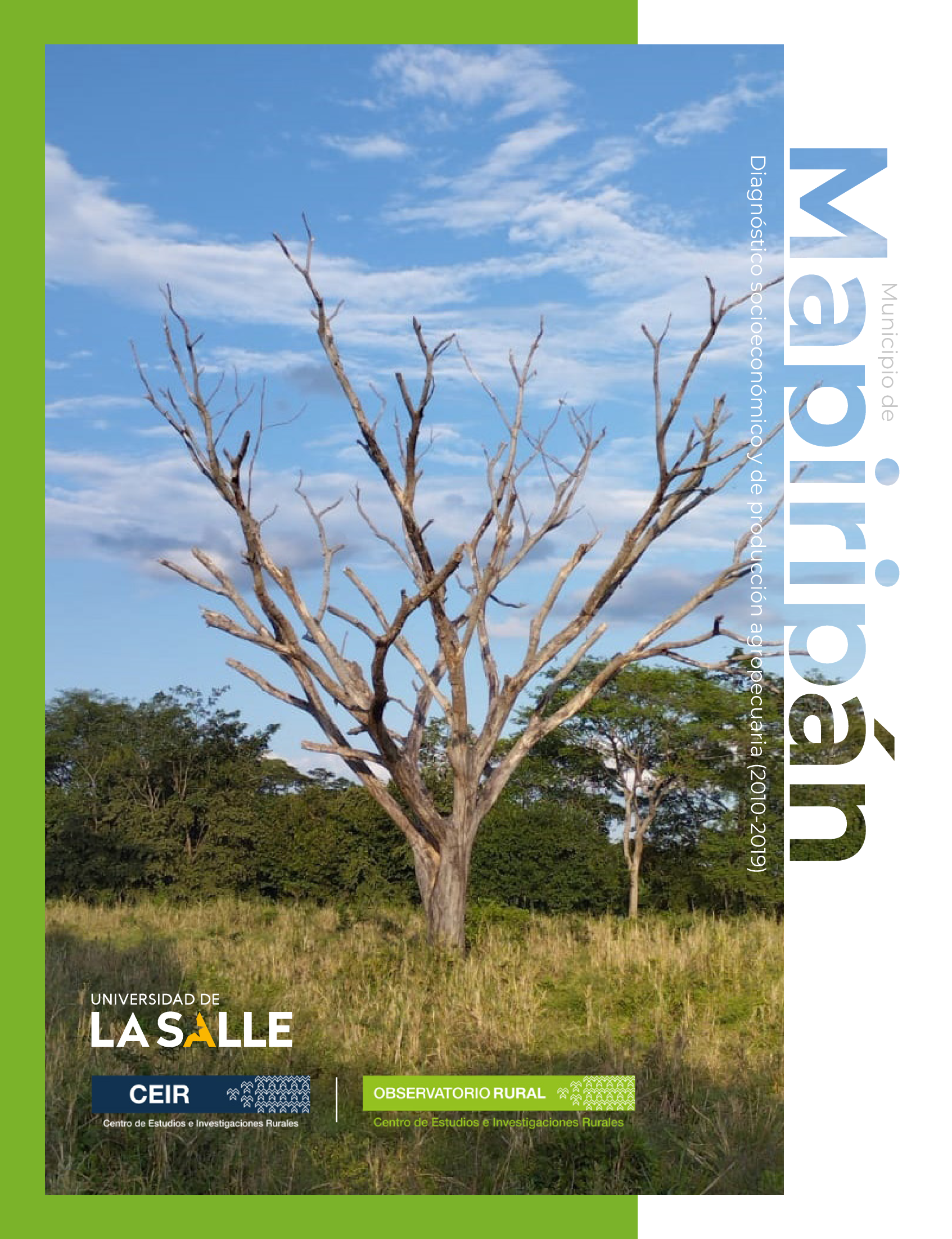 Municipio de Mapiripán (Meta): diagnóstico socioeconómico y de producción agropecuaria (2010-2019)