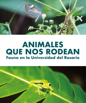 Animales que nos rodean: fauna en la Universidad del Rosario