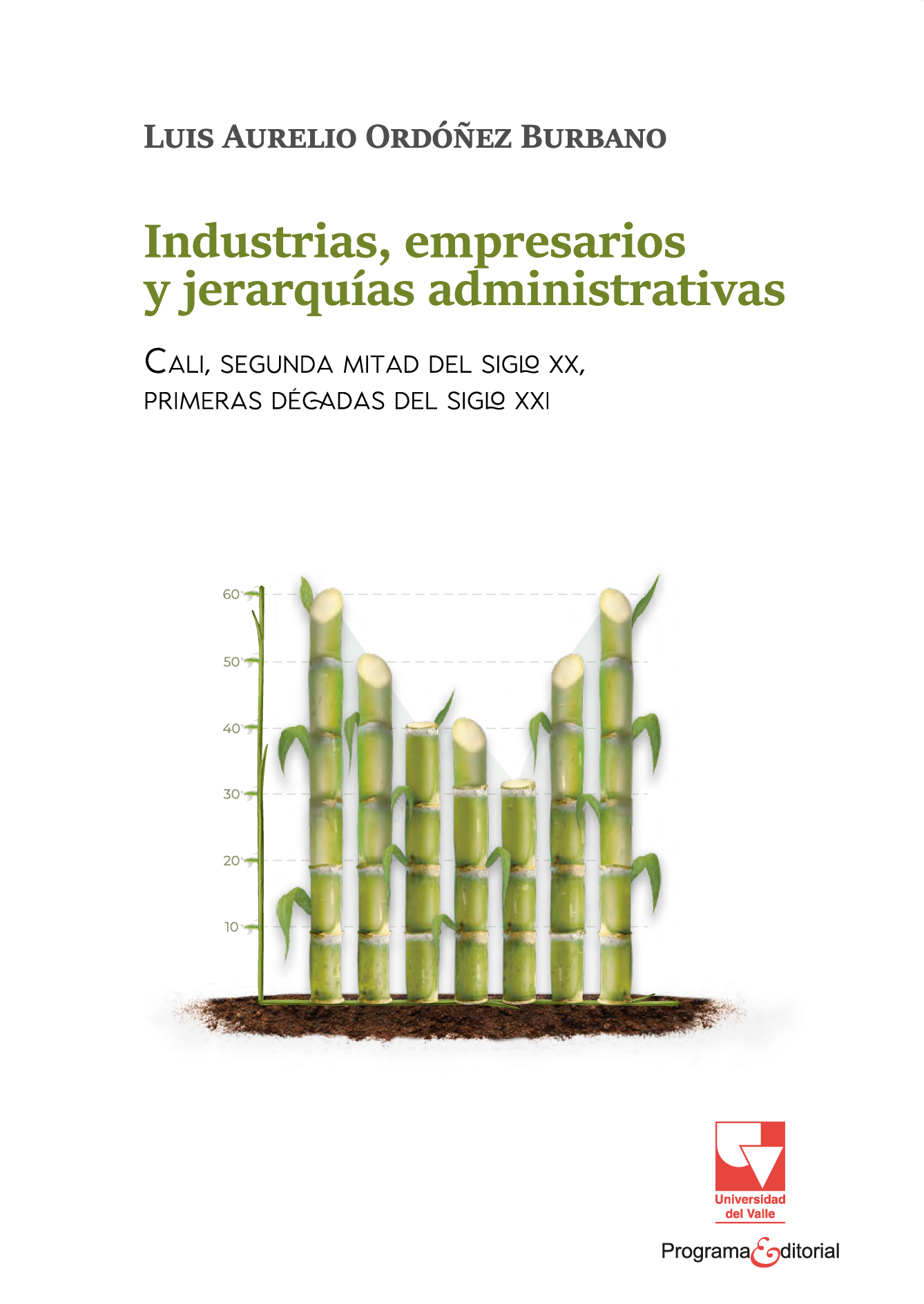 Industrias, empresarios y jerarquías administrativas. Cali, segunda mitad del siglo XX, primeras décadas del siglo XXI