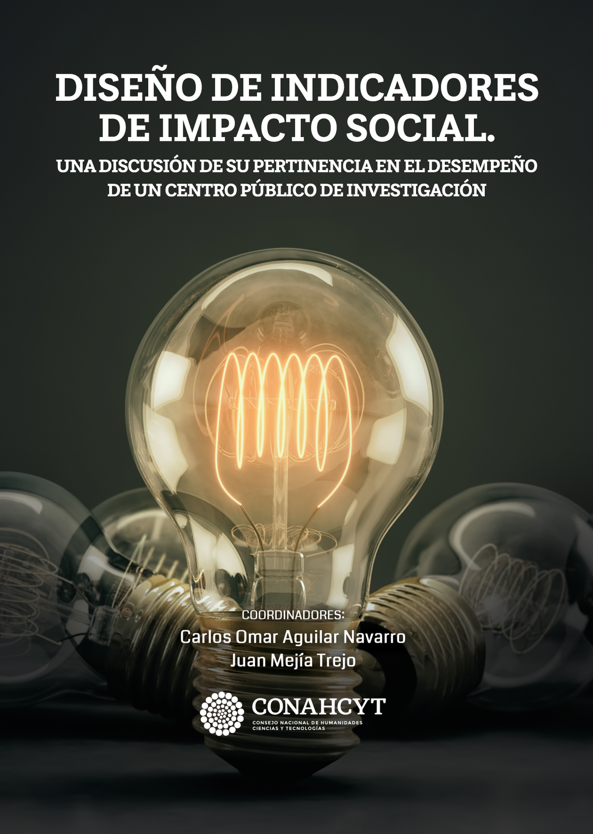 Diseño de indicadores de impacto social. Una discusión de su pertinencia en el desempeño de un centro público de investigación