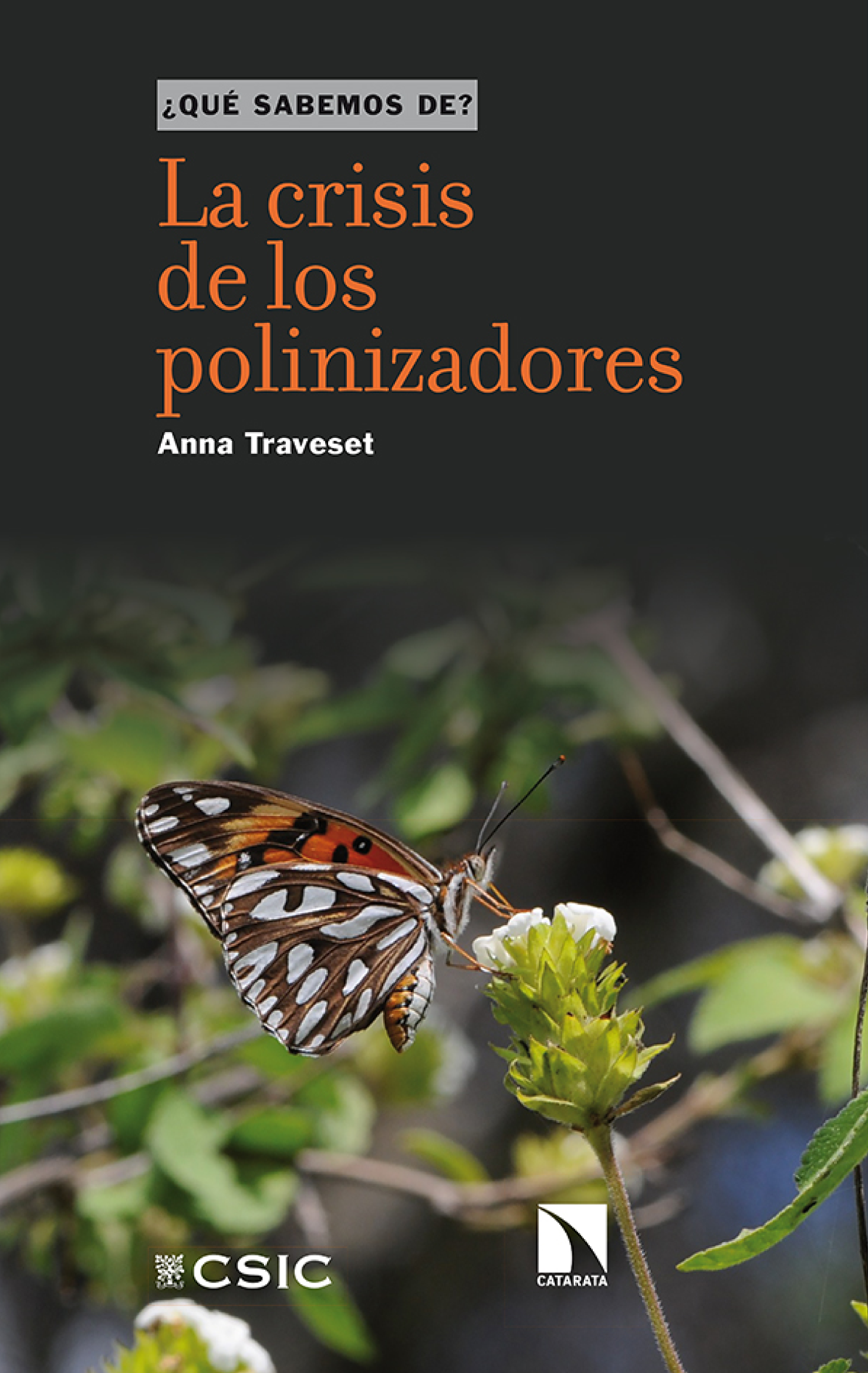 La crisis de los polinizadores