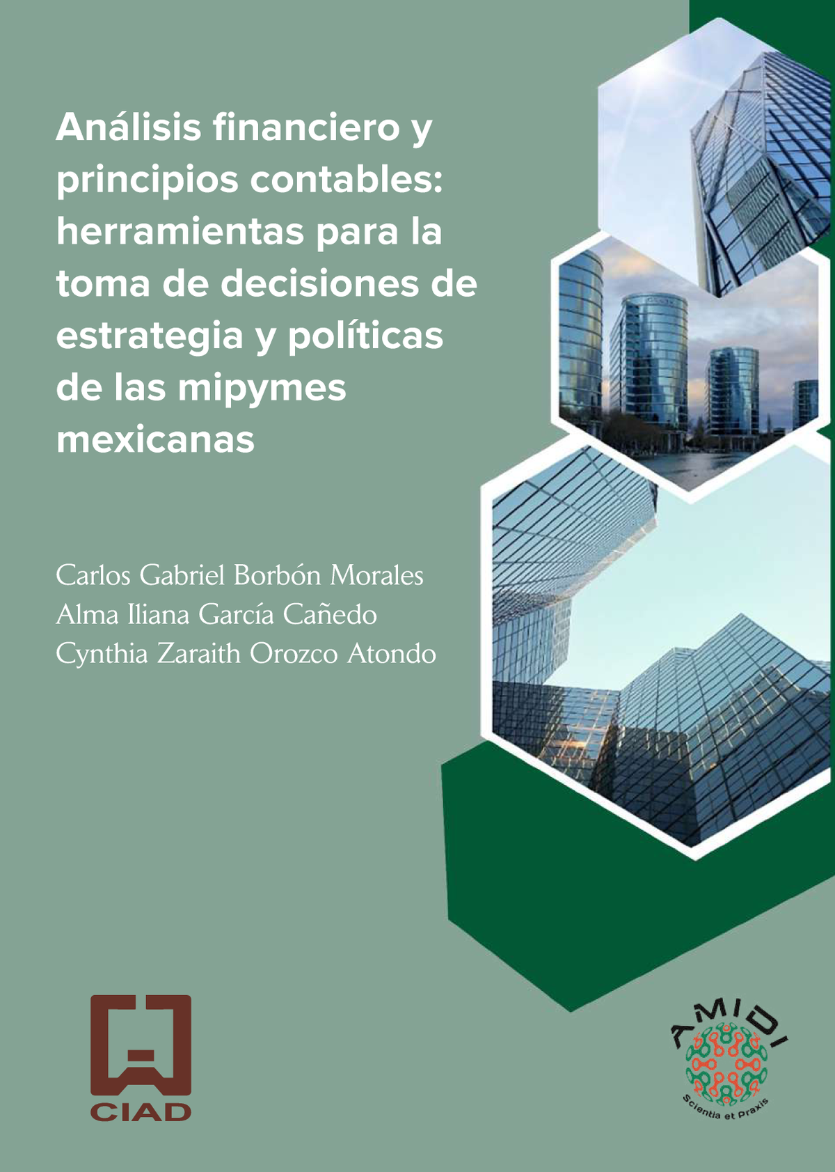 Análisis financiero y principios contables: herramientas para la toma de decisiones de estrategia y políticas de las mipymes mexicanas