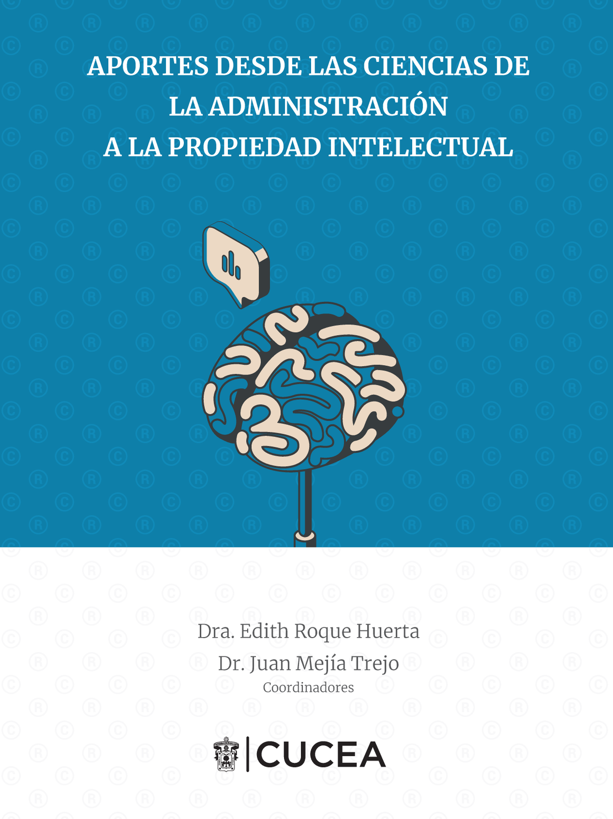 Aportes desde las ciencias de la administración a la propiedad intelectual
