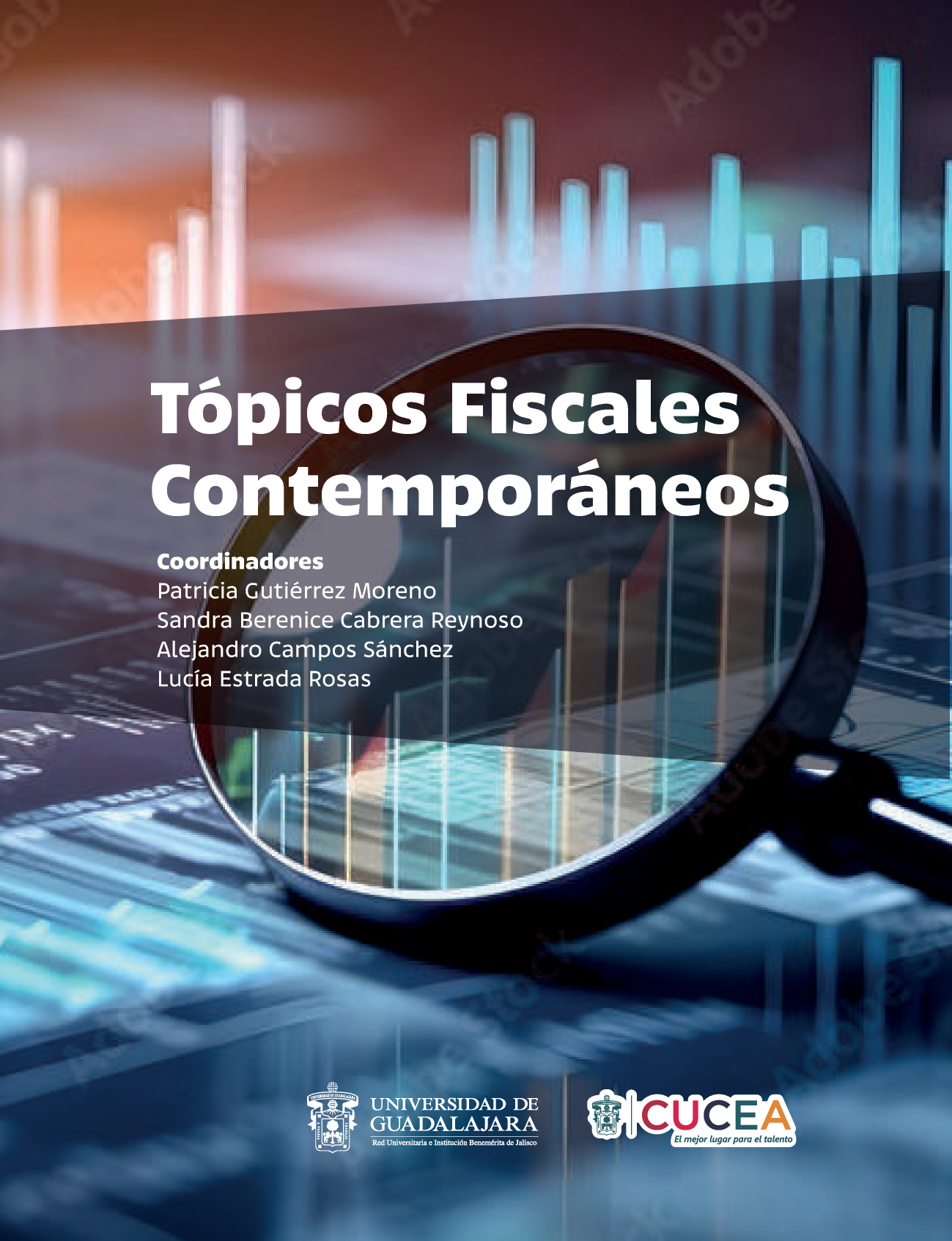 Tópicos fiscales contemporáneos