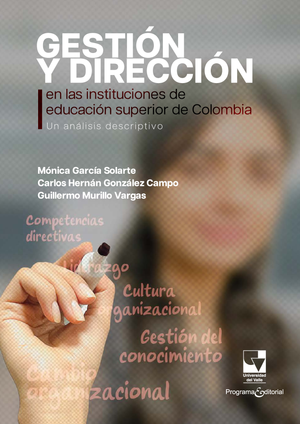 Gestión y dirección en las instituciones de educación superior de Colombia: un análisis descriptivo