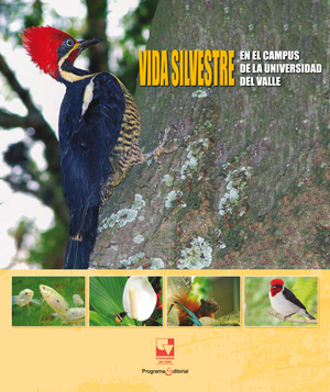 Vida silvestre en el campus de la Universidad del Valle