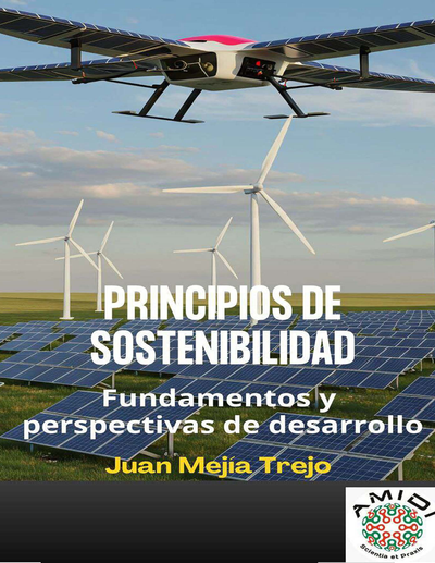 Principios de Sostenibilidad: fundamentos y perspectivas de desarrollo