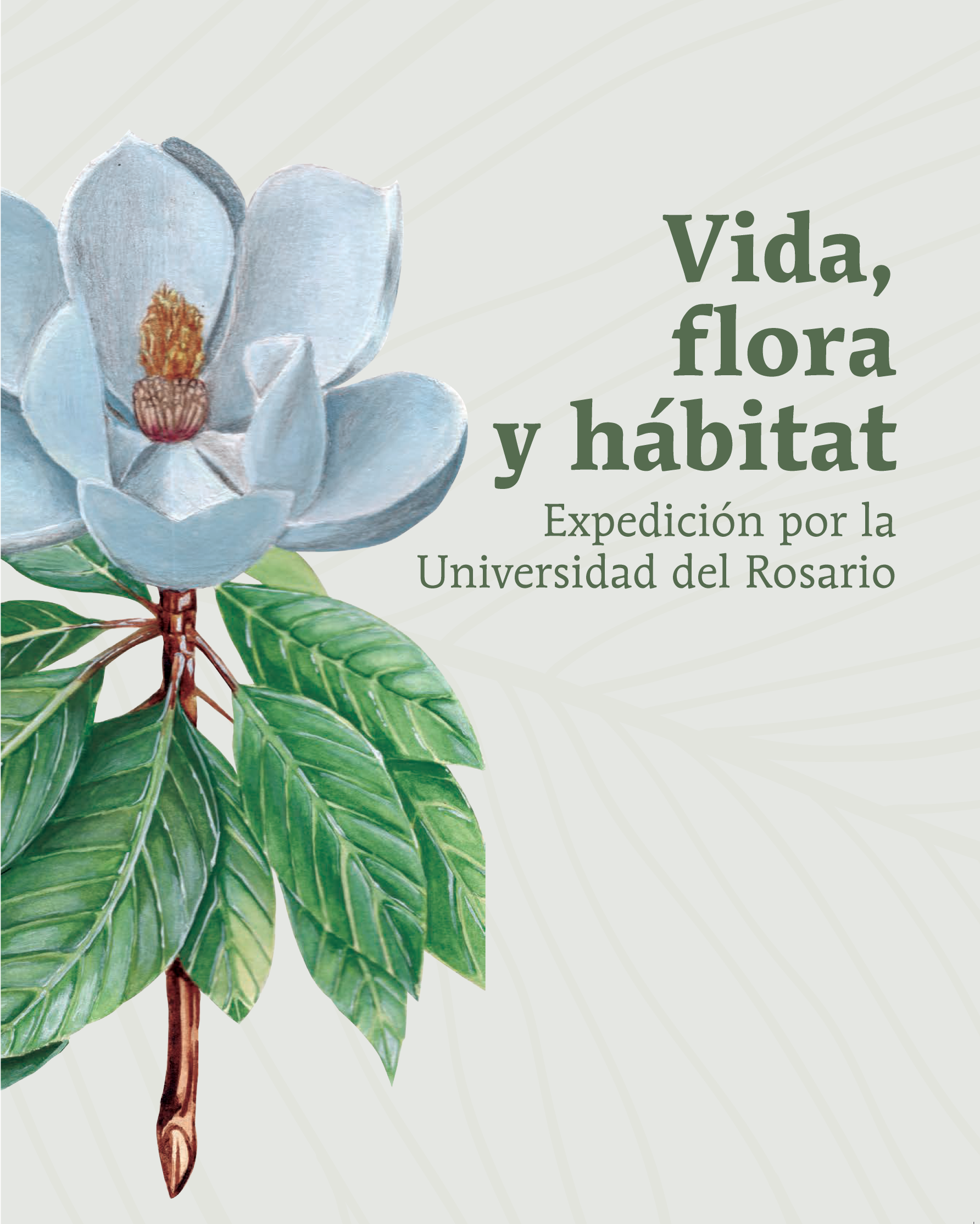 Vida, flora y hábitat: expedición por la Universidad del Rosario