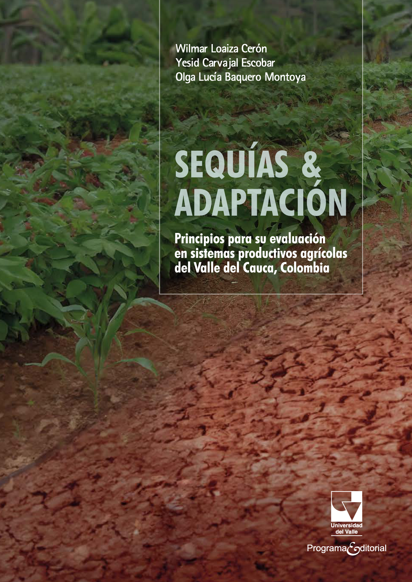 Sequías & adaptación: principios para su evaluación en sistemas productivos agrícolas del Valle del Cauca, Colombia