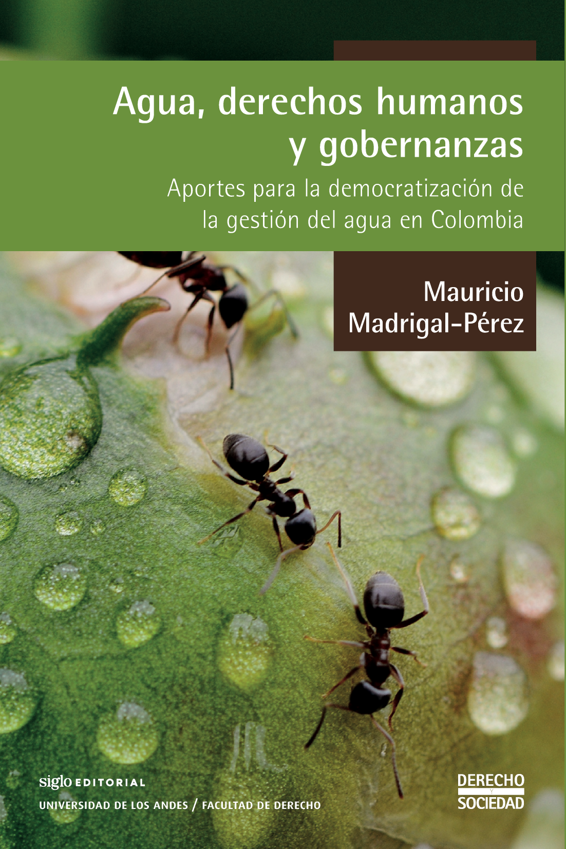 Agua, derechos humanos y gobernanzas. Aportes para la democratización de la gestión del agua en Colombia