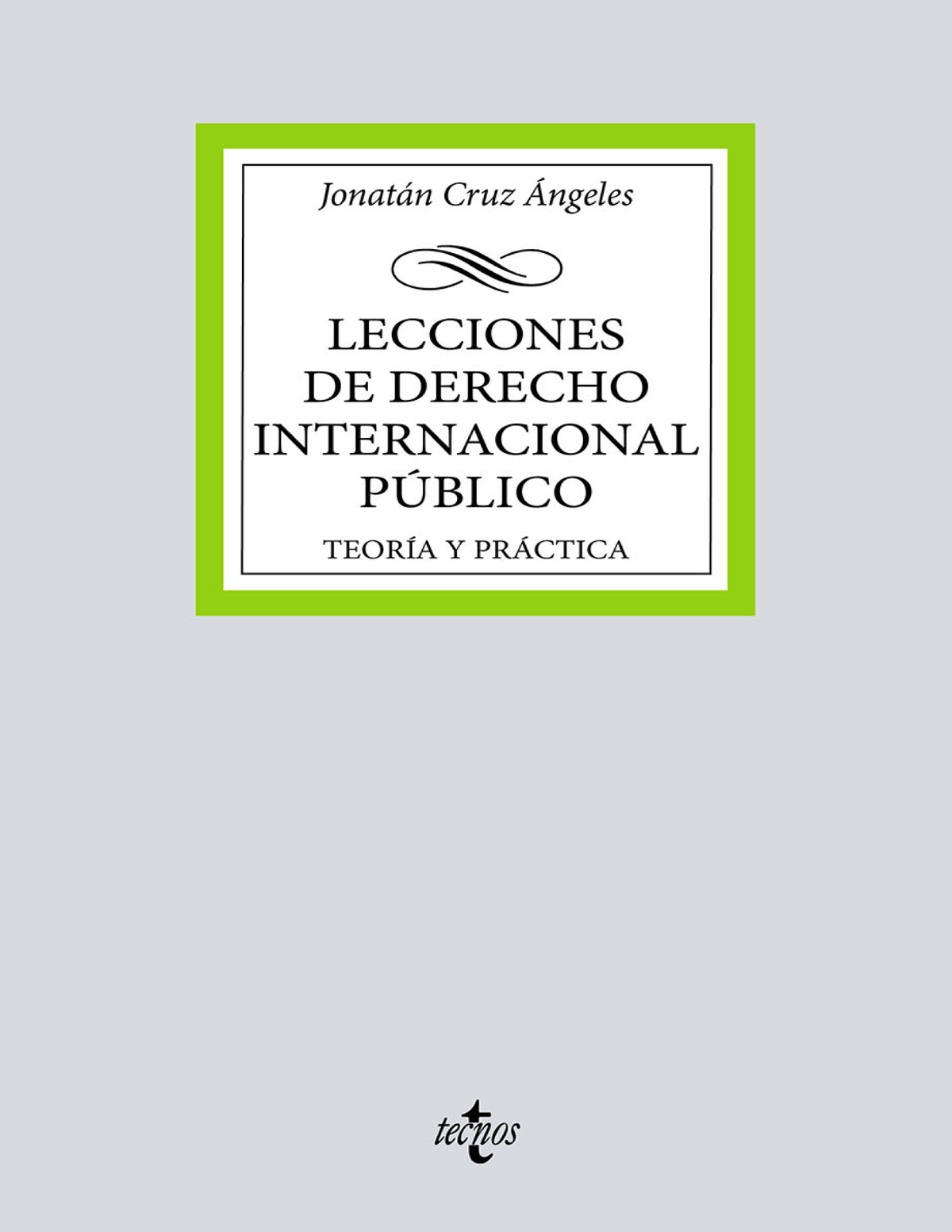 Lecciones de Derecho Internacional Público: teoría y práctica