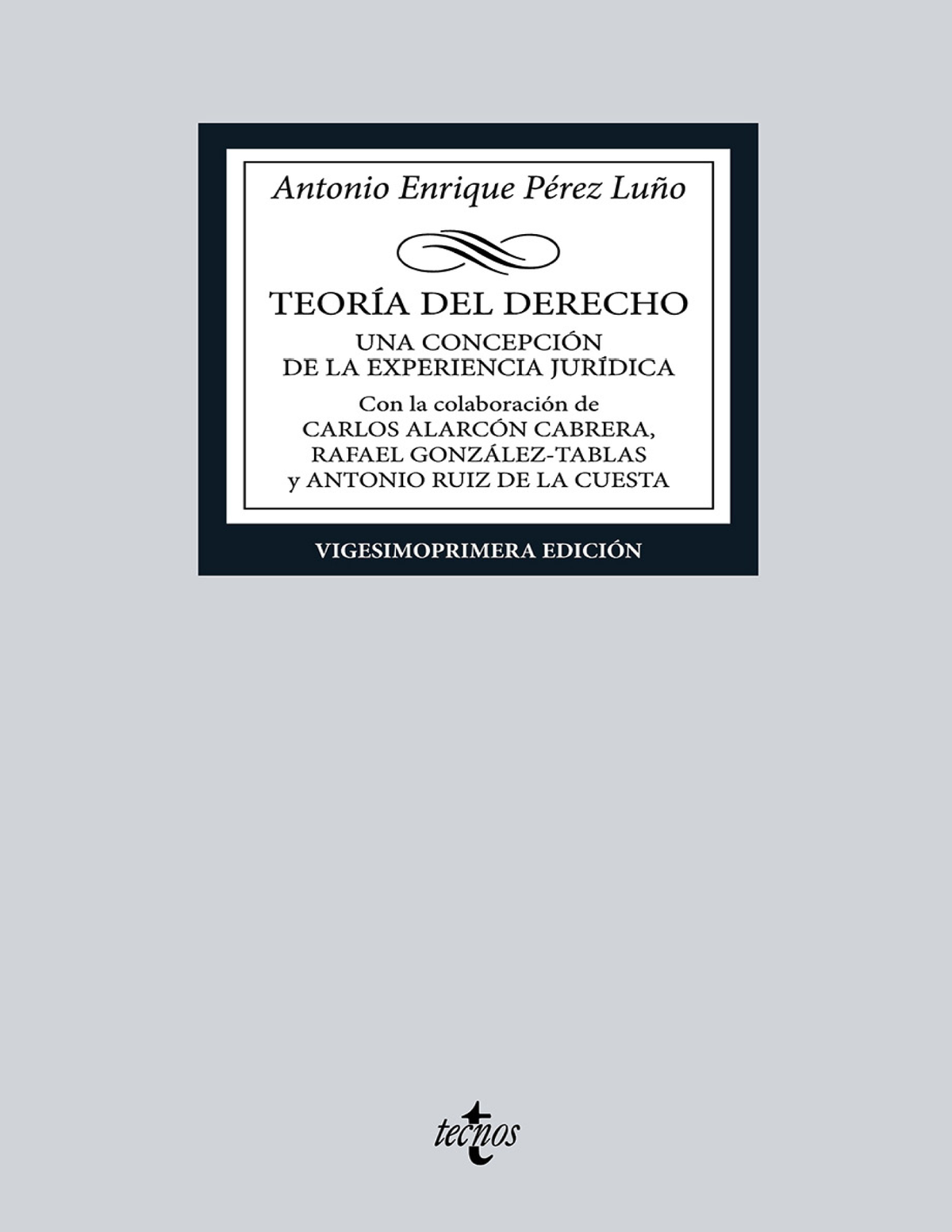 Teorría del derecho: una concepción de la experiencia jurídica