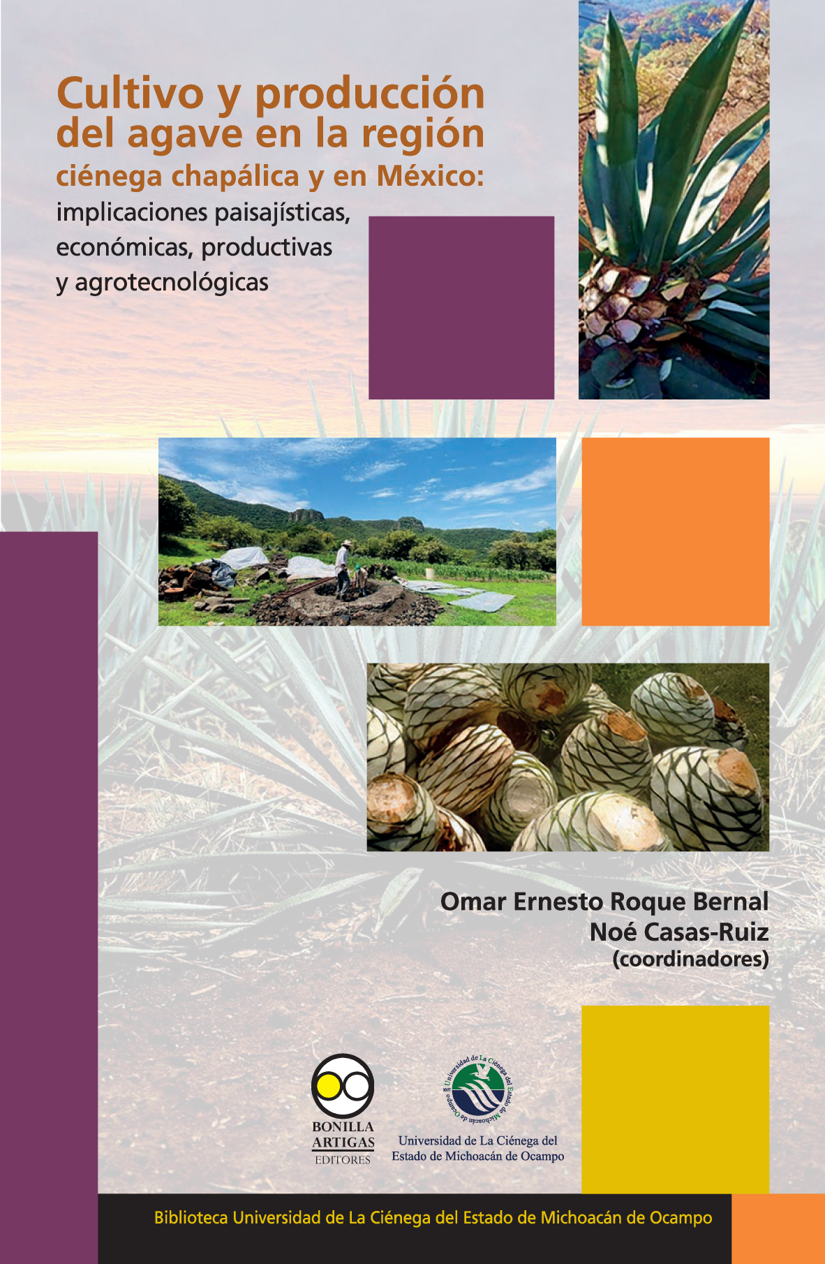 Cultivo y producción del agave en la región ciénega chapálica y en México: implicaciones paisajísticas, económicas, productivas y agrotecnológicas