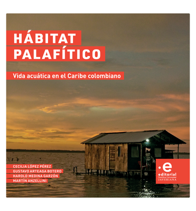 Hábitat palafítico: vida acuática en el Pacífico colombiano