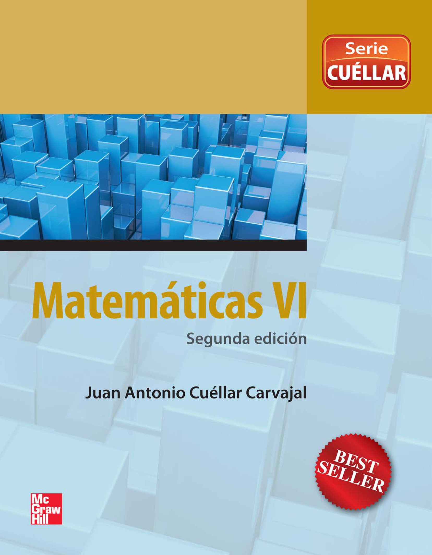 Matemáticas VI: enfoque por competencias