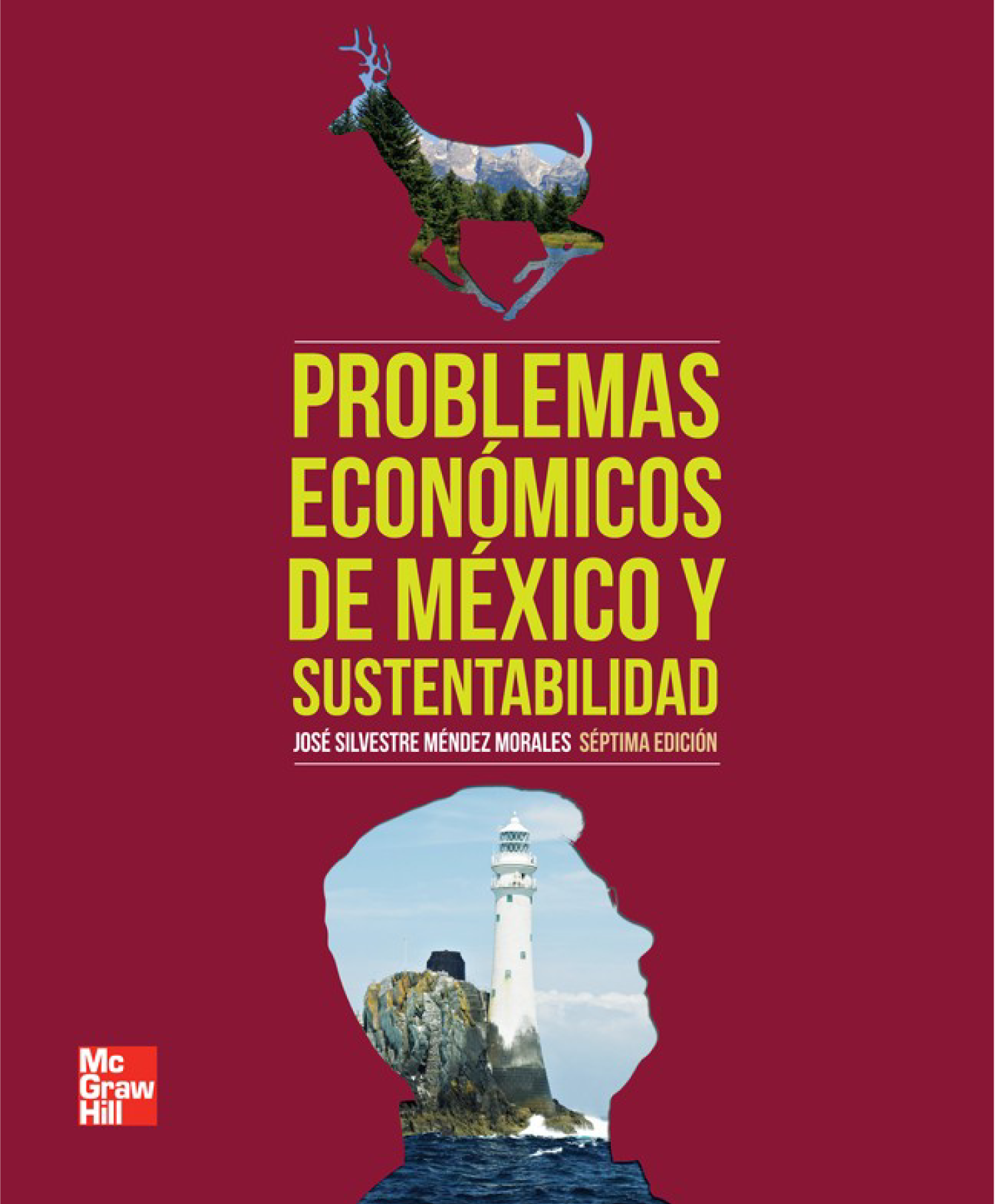 Problemas económicos de México y sustentabilidad