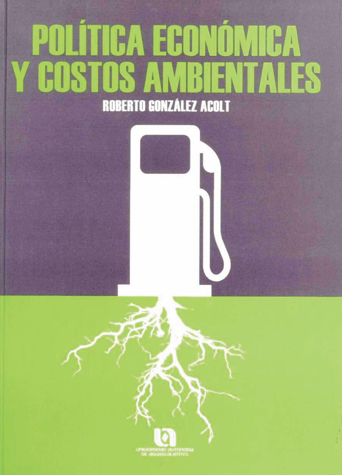 Política económica y costos ambientales