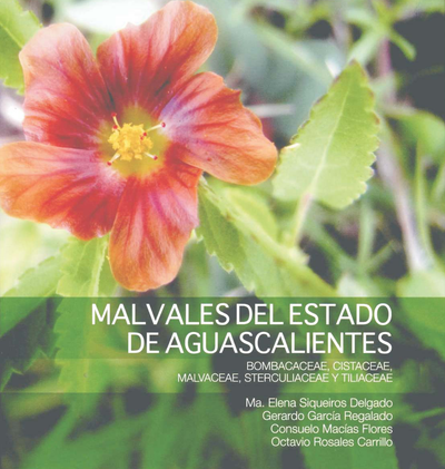 Malvales del estado de Aguascalientes: bombacaceae, cistaceae, malvaceae, sterculiaceae y tiliaceae
