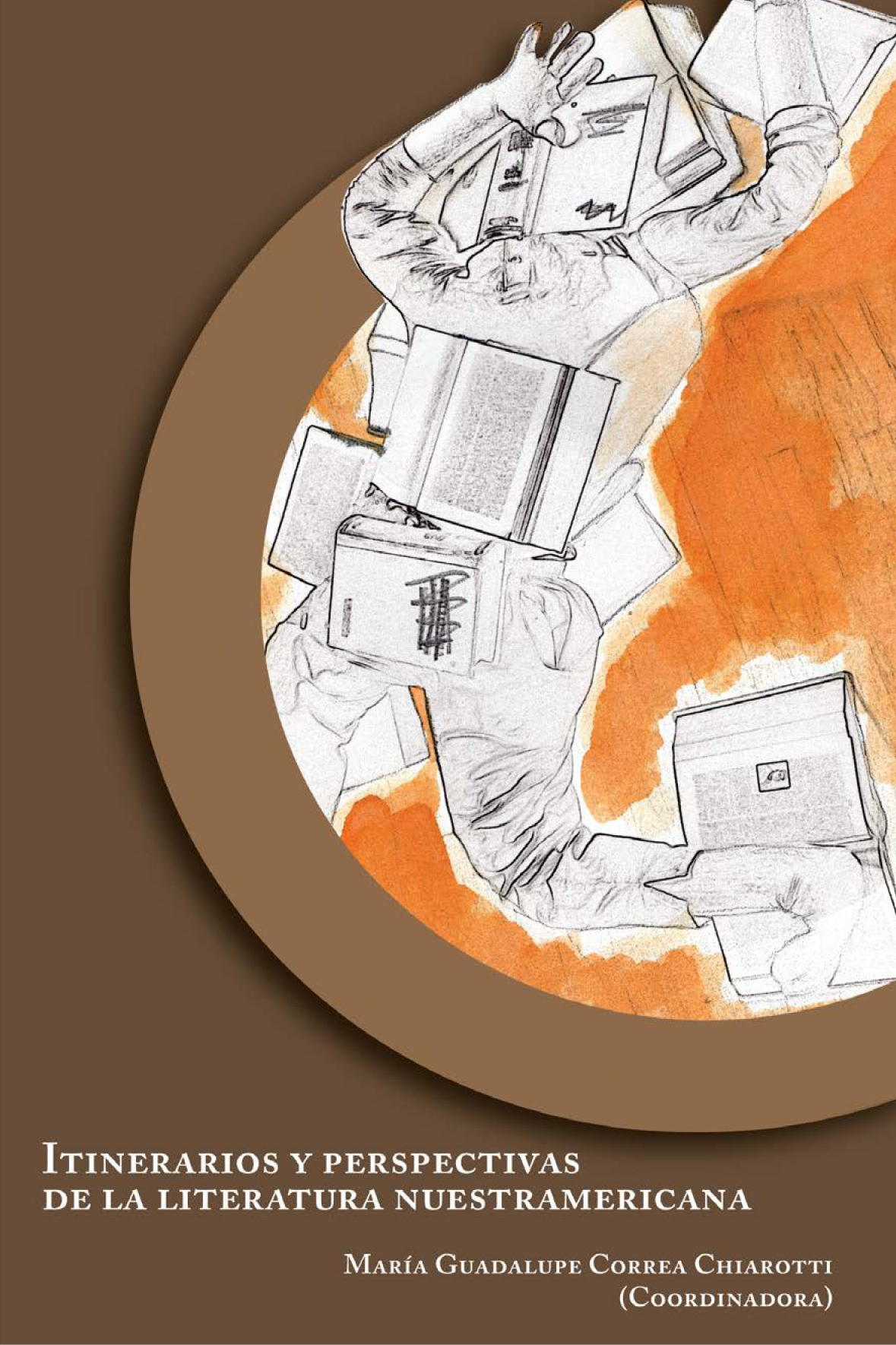 Itinerarios y perspectivas de la literatura nuestramericana