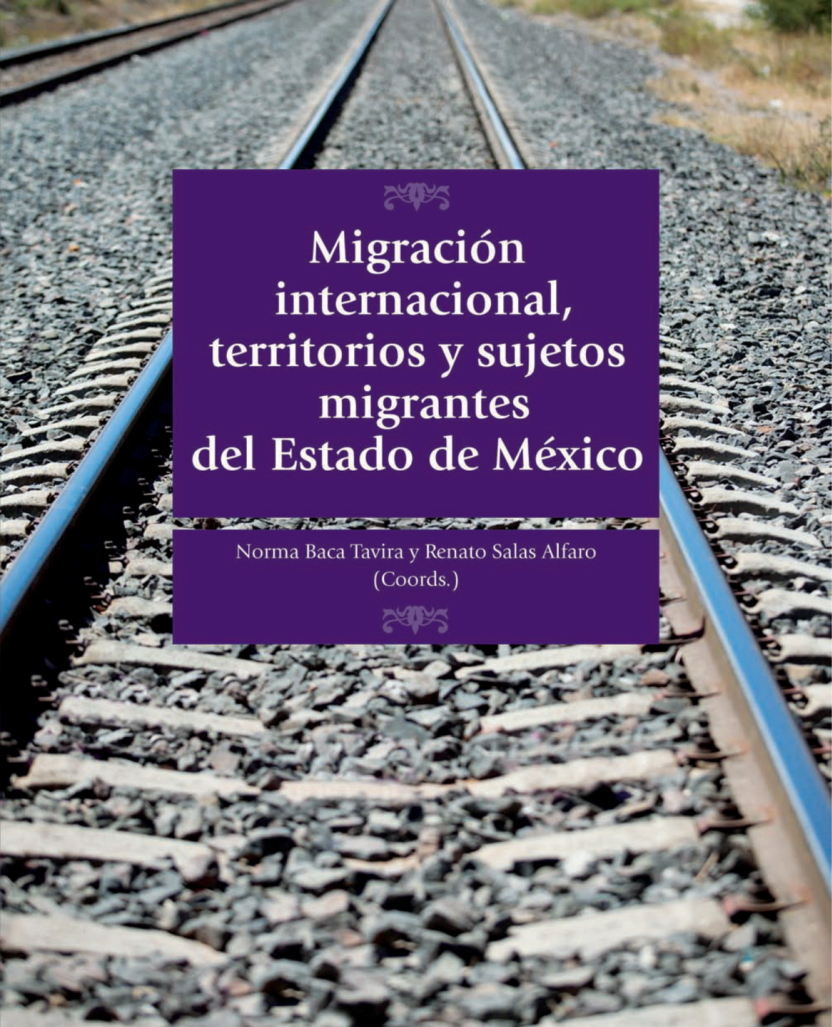 Migración internacional, territorios y sujetos migrantes del Estado de México