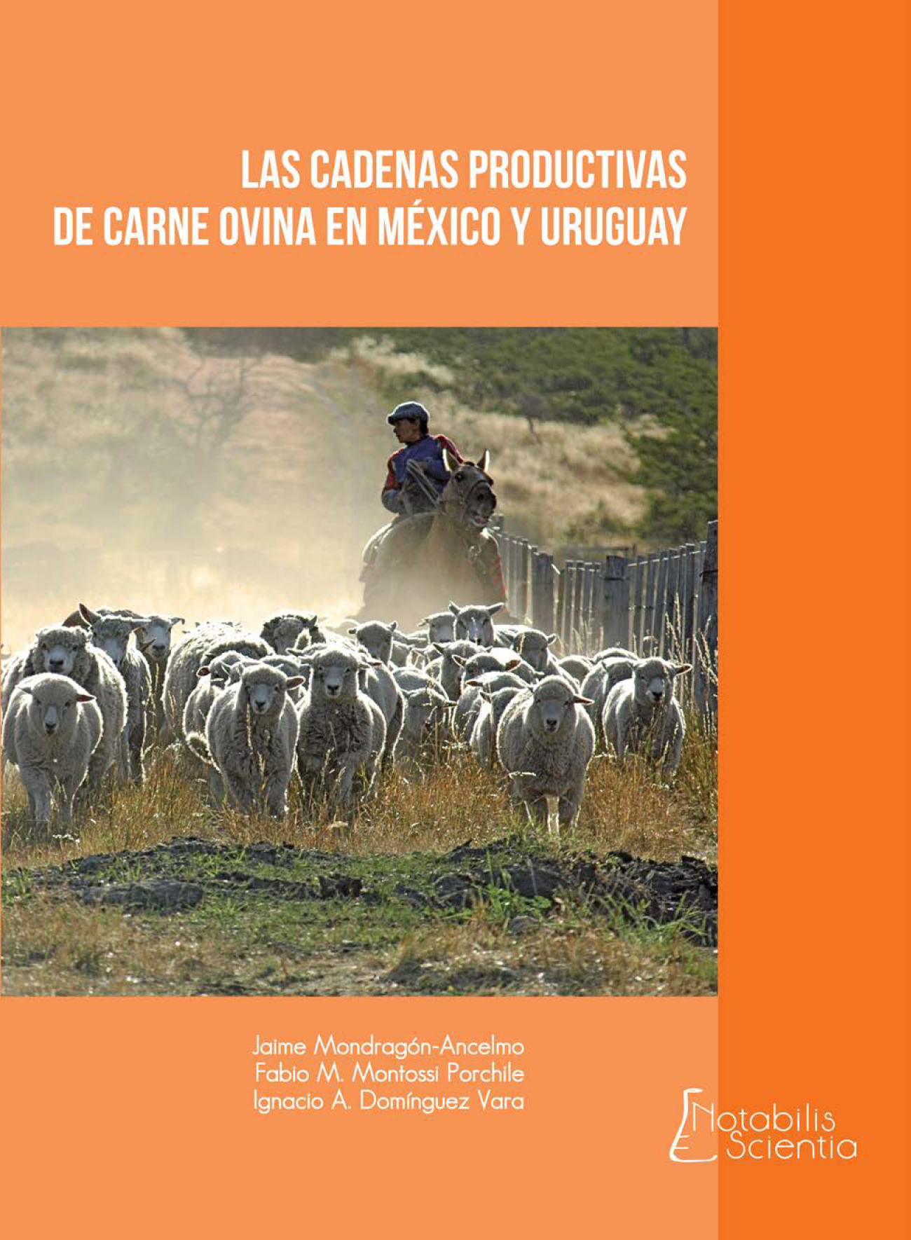 Las cadenas productivas de carne ovina en México y Uruguay